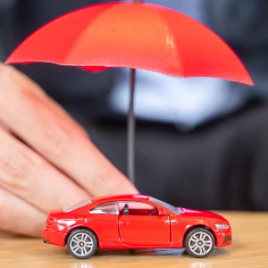 Magic Tours - Trusted Partner